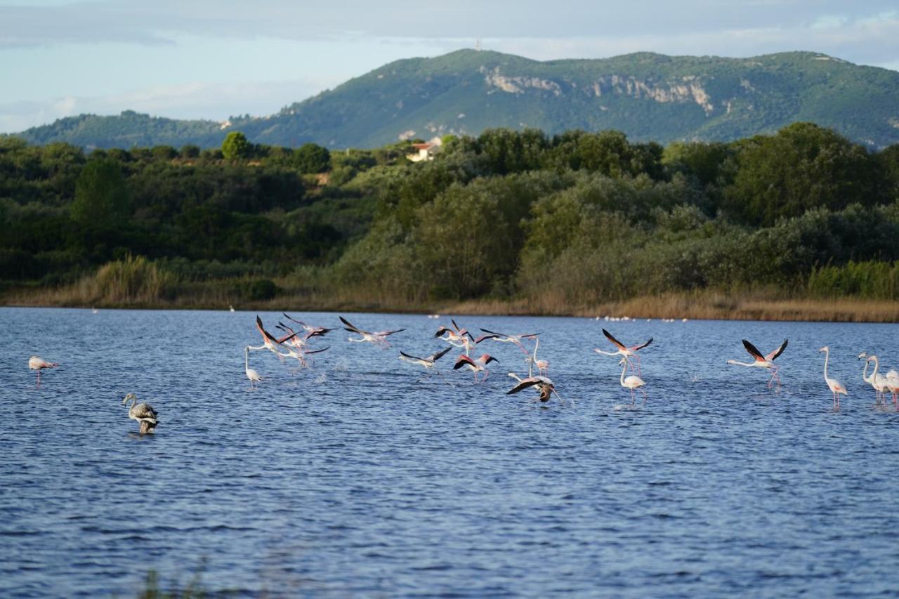 Stefanias Prasoudi Beach Ágios Matthaíos 외부 사진